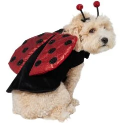 Frisco Glittered Ladybug Dog & Cat Costume 12 Frisco Glittered Ladybug Dog & Cat Costume -Frisco 708254 PT3. AC SS1800 V1689350986