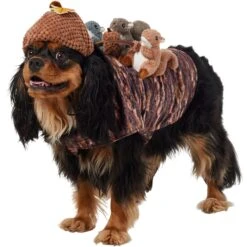 Front Page 37 Frisco Squirrels & Nuts Ride-On Dog & Cat Costume