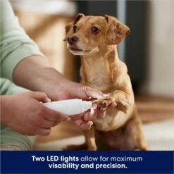 Rechargeable Cordless Cat & Dog 3-Speed Nail Grinder, White 11 Rechargeable Cordless Cat & Dog 3-Speed Nail Grinder, White -Frisco 729774 PT4. AC SS1800 V1687894786