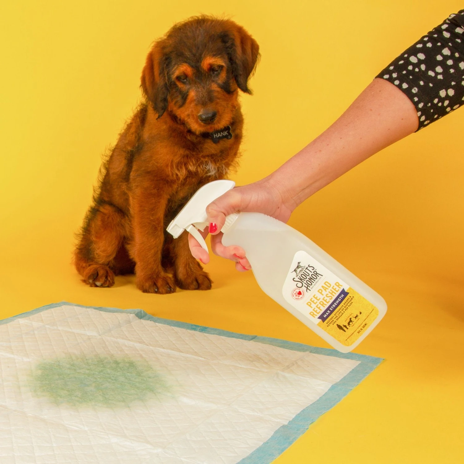 Skout's Honor Dog Pee Pad Refresher Spray, 28-oz Bottle & Frisco Washable Dog Potty Pads 5 Skout's Honor Dog Pee Pad Refresher Spray, 28-oz Bottle & Frisco Washable Dog Potty Pads - Image 5