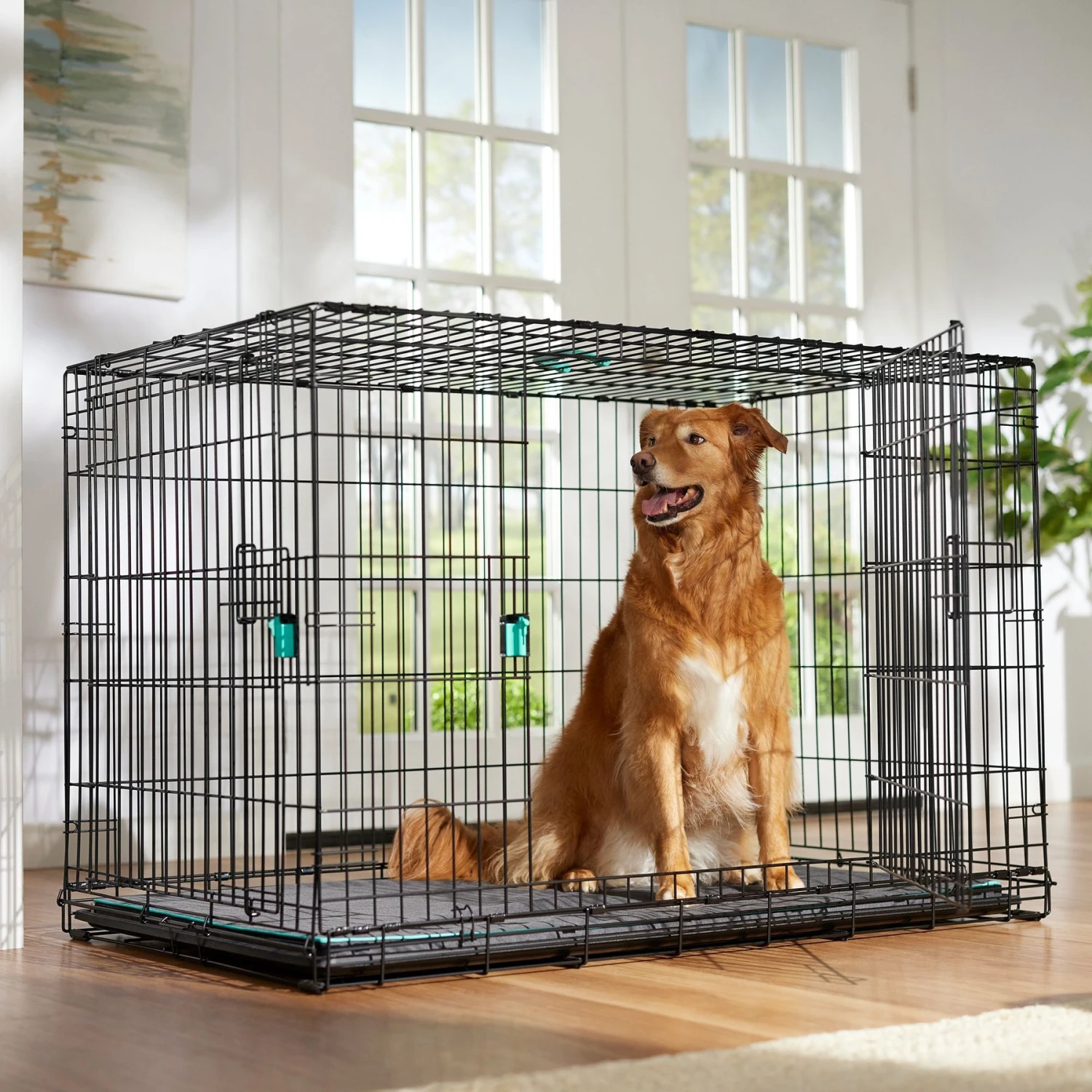 Frisco Heavy Duty Enhanced Lock Double Door Fold & Carry Wire Dog Crate & Mat Kit & MidWest Quiet Time Fleece Dog Crate Mat 2 Frisco Heavy Duty Enhanced Lock Double Door Fold & Carry Wire Dog Crate & Mat Kit & MidWest Quiet Time Fleece Dog Crate Mat - Image 2