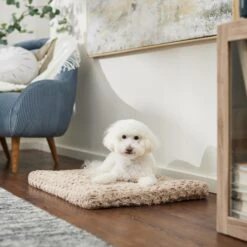 Frisco Double Door Furniture Style Dog Crate, Black & Frisco Swirl Dog Crate Mat -Frisco 947710 PT5. AC SS1800 V1693921603