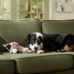 Frisco Monkey Plush With Rope Squeaky Dog Toy & Frisco Cow Plush With Inside Rope Squeaky Dog Toy -Frisco 961998 PT4. AC SS1800 V1694784009