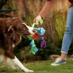 Frisco Fetch Colorful Ball Knot Rope Dog Toy & Frisco Monkey Plush With Rope Squeaky Dog Toy 11 Frisco Fetch Colorful Ball Knot Rope Dog Toy & Frisco Monkey Plush With Rope Squeaky Dog Toy -Frisco 962014 PT2. AC SS1800 V1694784008
