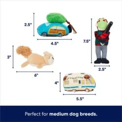 Frisco Holiday House Hide & Seek Puzzle Plush Squeaky Dog Toy & Frisco Holiday North Pole Mailbox Hide & Seek Puzzle Plush Squeaky Dog Toy -Frisco 986286 PT3. AC SS1800 V1698257799