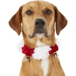 Frisco Jingle Bells Dog & Cat Holiday Collar With Bells, 1 Count & Frisco Holiday Antler Headband & Bell Collar Dog & Cat Costume 12 Frisco Jingle Bells Dog & Cat Holiday Collar With Bells, 1 Count & Frisco Holiday Antler Headband & Bell Collar Dog & Cat Costume -Frisco 986294 PT3. AC SS1800 V1698257734