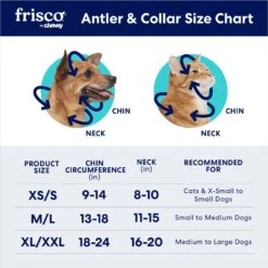 Frisco Jingle Bells Dog & Cat Holiday Collar With Bells, 1 Count & Frisco Holiday Antler Headband & Bell Collar Dog & Cat Costume 17 Frisco Jingle Bells Dog & Cat Holiday Collar With Bells, 1 Count & Frisco Holiday Antler Headband & Bell Collar Dog & Cat Costume -Frisco 986294 PT8. AC SS1800 V1698258174